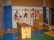 Gimnastika v I. triletju